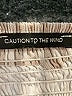 Caution to the Wind Brown Short Sleeve Top Size S (estimated) - photo 7