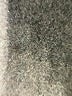 St. John Black Coat Size 10 - photo 8