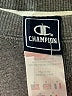 Champion Graphic Gray Pullover Sweater Size M (kids) - photo 3