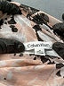 Calvin Klein Ivory Long Sleeve Blouse Size M - photo 7