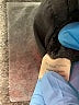 Bella Dahl 100% Tencel Black Track Pants Size XS - photo 8