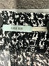 Kimchi Blue Polka Dots Black Casual Pants Size S - photo 6