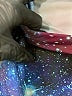 Queenie Ke & Athletic Stars Blue Active Skort Size M - photo 4