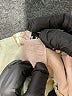 Hybrid & Company Solid Gray Active Pants Size M - photo 8