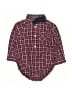 Ben Sherman Burgundy Short Sleeve Outfit Size 3-6 mo - photo 1