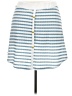 Assorted Brands Stripes Blue Casual Skirt Size 3X - photo 1