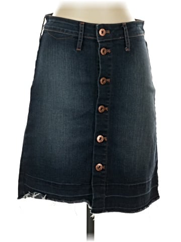 Articles of Society Denim Skirt (view 1)
