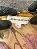 Assorted Brands 100% Tencel Gold Short Sleeve Blouse Size XL - photo 4