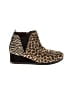 TOMS Animal Print Brown Black Ankle Boots Size 1 1/2 (baby) - photo 1