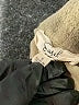 Easel Green Casual Pants Size S - photo 7