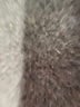 Riveted by Lee Blue Jeans Size 28 waist - photo 6