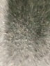 Madewell Gray Jeans Size 31 waist (petite) - photo 8