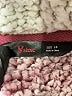 Stoic 100% Polyester Burgundy Pullover Sweater Size 16 - photo 7