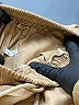 Unbranded Tan Cargo Pants Size L - photo 7