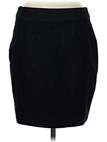 Leifsdottir Denim Skirt (view 1)