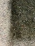 AUW Green Casual Dress Size L - photo 8