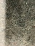 Tory Burch Solid Black Dress Pants Size 2 - photo 9