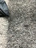Willi Smith Paisley Blue Shorts Size 6 - photo 3