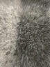 Splendid Black Sweater Vest Size M - photo 8