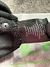 Sanctuary Black Active Pants Size M - photo 5