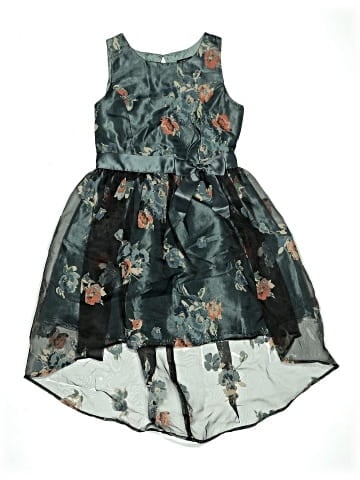 Zunie Dress (view 1)