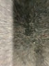Talbots Blue Long Sleeve Blouse Size M - photo 8