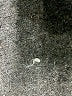 LoveShackFancy Metallic Silver Wool Pullover Sweater Size XS - photo 9