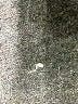 LoveShackFancy Metallic Silver Wool Pullover Sweater Size XS - photo 10