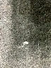 LoveShackFancy Metallic Silver Wool Pullover Sweater Size XS - photo 12