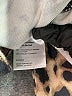 Reformation Jeans Animal Print Brown Jacket Size XS - photo 7