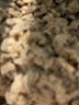 Unbranded Brown Cardigan Size 4X (estimated) - photo 7