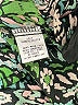 Pinch 100% Polyester Green Long Sleeve Blouse Size M - photo 8