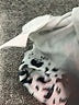 Halife Animal Print Ivory Long Sleeve Blouse Size XXL - photo 8