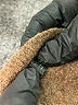Jenni Kayne Brown Pullover Sweater Size S - photo 7