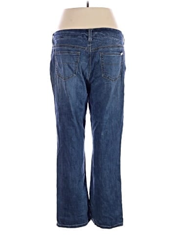 Melissa McCarthy Seven7 Jeans (view 2)