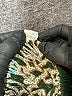 Unbranded Paisley Green Casual Pants Size XXL - photo 5