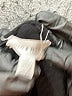 Rio & Rian Black Long Sleeve Blouse Size 1X - photo 7