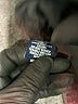Chaps Brown Jeans Size 4 - photo 8