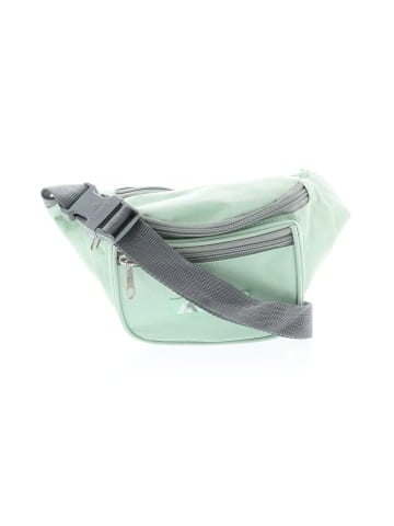 Everest Designs Belt Bag (view 1)