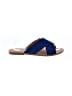 DV by Dolce Vita Blue Sandals Size 8 - photo 1