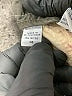 IZOD 100% Cotton Floral Tan Formal Skirt Size 14 - photo 5