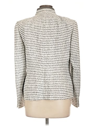 Basler Blazer (view 2)