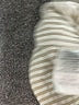 Carolina Belle Stripes Ivory Casual Pants Size 16w - photo 5