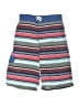 Hanna Andersson Blue Board Shorts Size 12 - photo 1