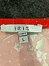 iris Red Bodysuit Size L - photo 3