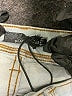 PrAna Metallic Gray Jeans Size 28 waist - photo 6