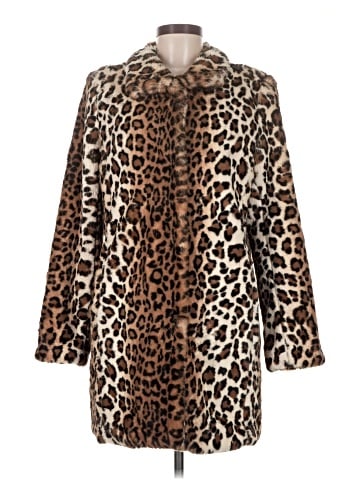 Ann Taylor LOFT Coat (view 1)