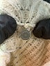 Knitted & Knotted Ivory Turtleneck Sweater Size XS - photo 7