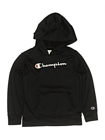 Champion Pullover Hoodie (view 1)