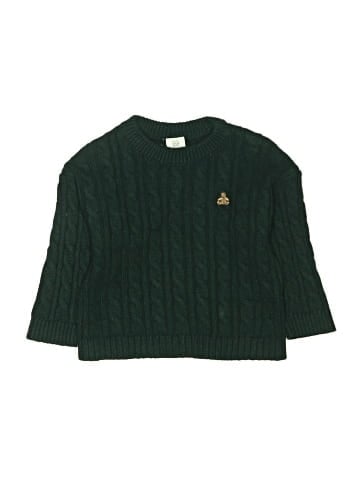 Baby Gap Pullover Sweater (view 1)